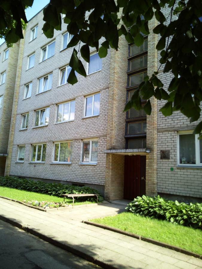 Апартаменты Nakvyne Anyksciu Centre Аникщяй Экстерьер фото